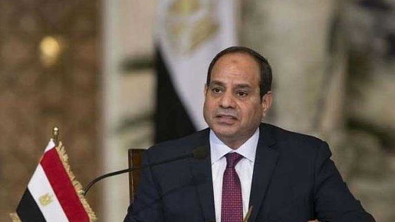 السيسى: لم أتدخل