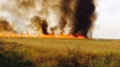 العراق: داعش يحرق المحاصيل الزراعية في كركوك