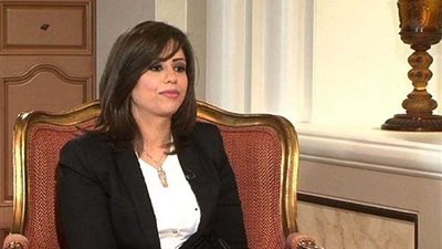 اليوم.. وزير البترول الأسبق يكشف تجربة الاصلاح الاقتصادى ودعم الوقود على 