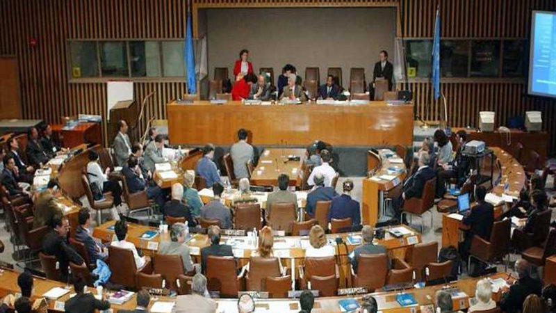 غدًا.. الأمم المتحدة