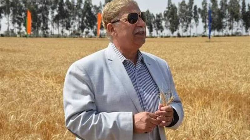 توريد ما يزيد على