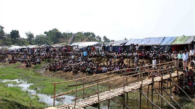 حتى الطبيعة تحارب