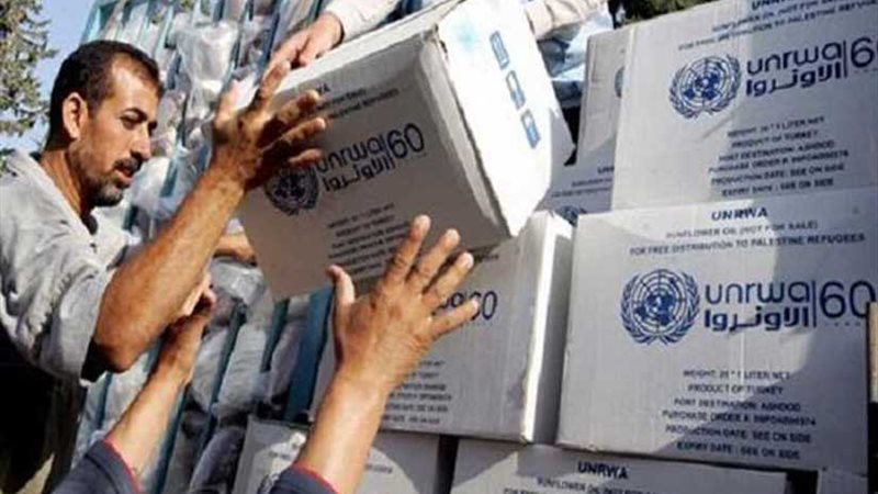 الأونروا: 80 % من