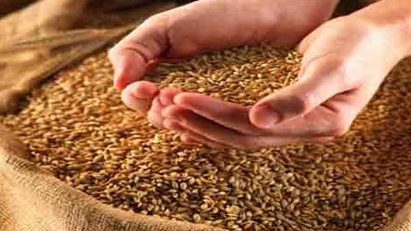 هيئة السلع التموينية