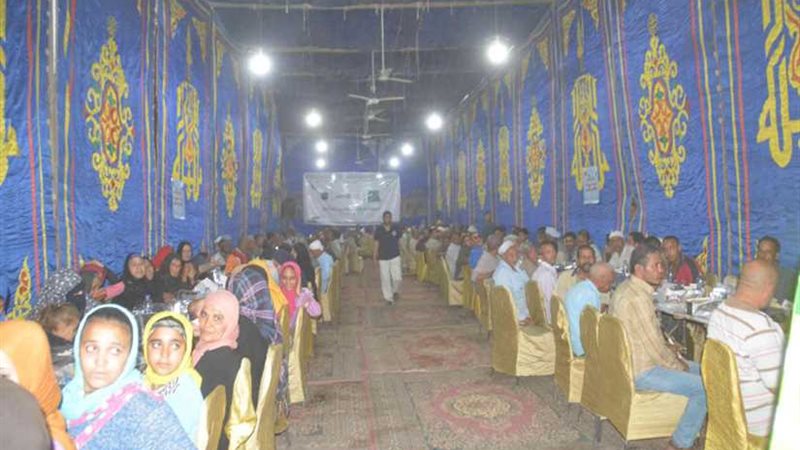 محافظ المنيا يشارك