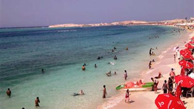 مصايف الإسماعيلية.. تيوليب يحدث طفرة سياحية