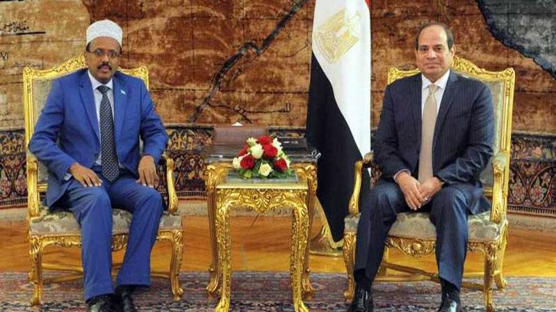 المتحدث باسم الرئاسة