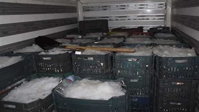 ضبط 4 أطنان أسماك مهربة بالمنصورة