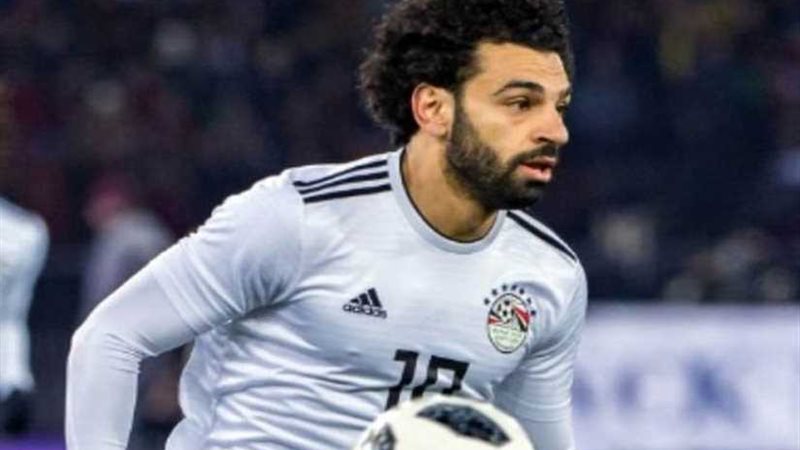 كلام نهائي.. محمد