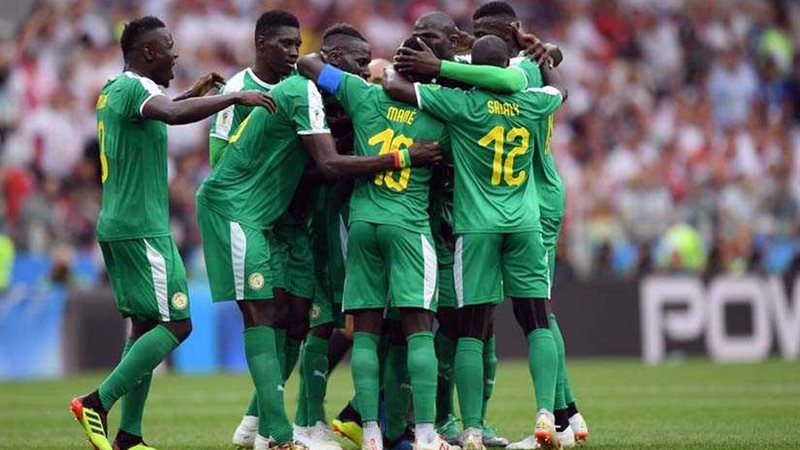 أسود الترانجا يلتهمون