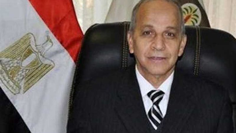 محافظ القليوبية: