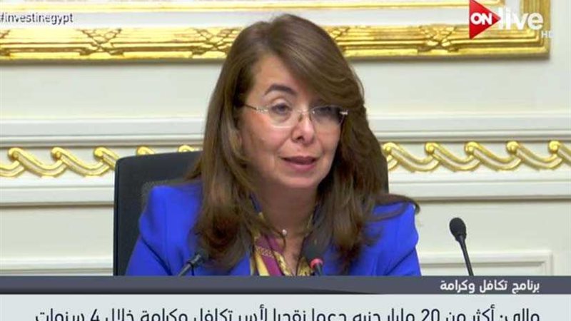 غادة والي: 20 مليار