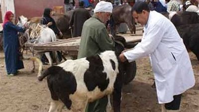 تحصين 99 ألف حيوان ضد مرض 