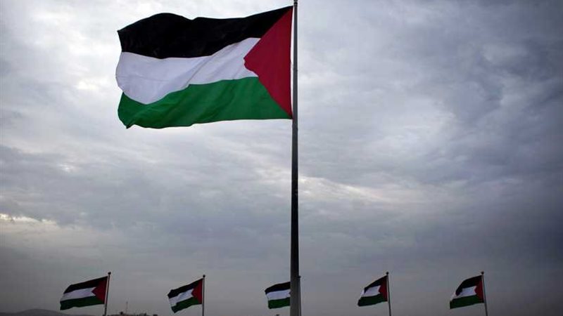 رسميًا ..فلسطين تحصل