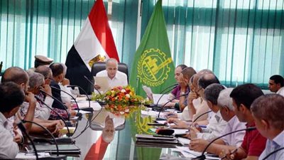 القليوبية تستعد لاحتفالات 30 يونيو