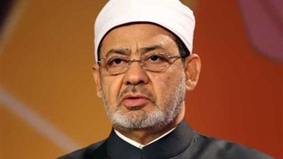 علاوي: خطابات الإمام الأكبر تلقى ترحيبًا من جميع مكونات الشعب العراقي