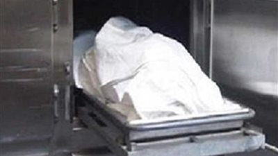 مصرع شخص صعقًا بالكهرباء بميت غمر