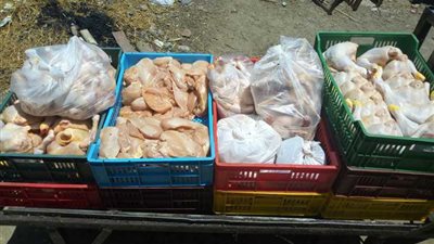 بالصور.. ضبط 410 كيلو فراخ مجهولة داخل مجزر بحلوان