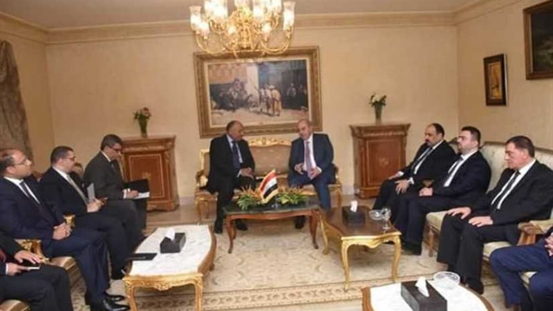 شكري يبحث تطوير العلاقات