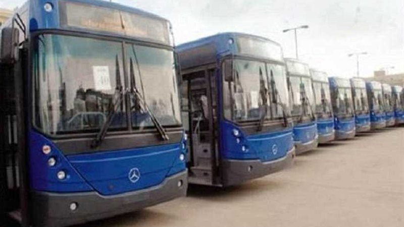 القاهرة: لا صحة لزيادة