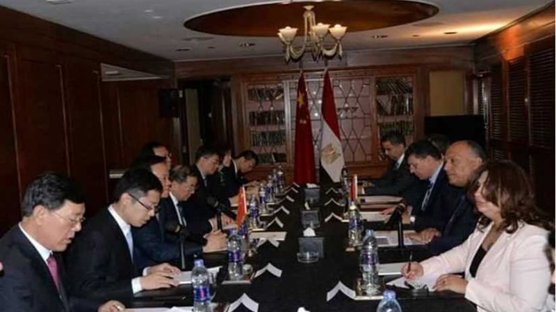 وزير الخارجية يبحث