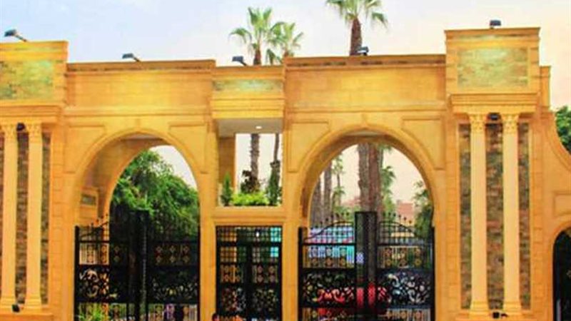 جامعة المنصورة تعلن