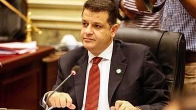 خارجية النواب تستقبل عددا من الوزراء