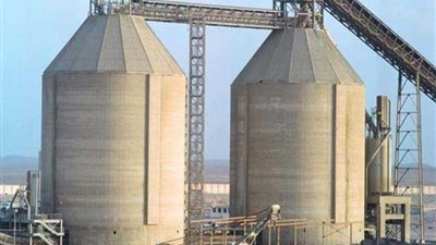 وزارة قطاع الأعمال: 