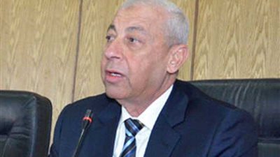 محافظ أسوان: تشكيل مجلس لمراقبة ومتابعة الأسواق