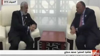 مساعد وزير الخارجية الأسبق يوضح أهمية لقاء شكري بنظيره الليبي.. (فيديو)