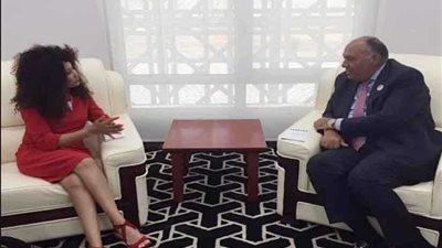 وزير الخارجية يعرب لنظيرته الجنوب إفريقية عن تطلع مصر لتطوير العلاقات الثنائية