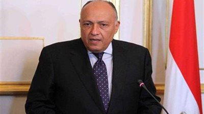 شكري يوجه من القمة الإفريقية التحية للمرأة المصرية بمناسبة ذكرى ثورة 30 يونيو