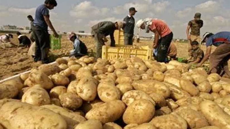 مونديال روسيا ينعش