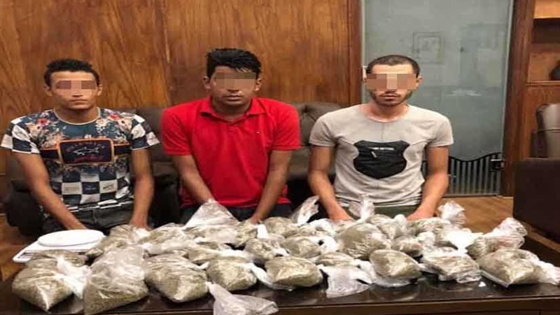 تجار «الفودو» وقعوا