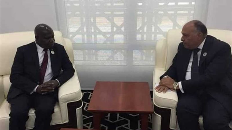  شكري يبحث التعاون