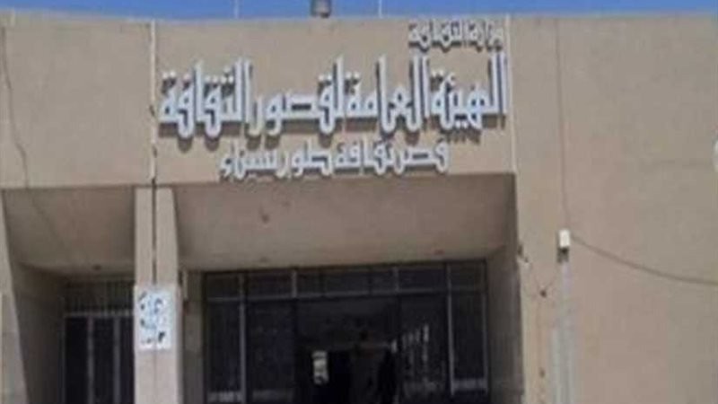 الاحتفال بثورة 30