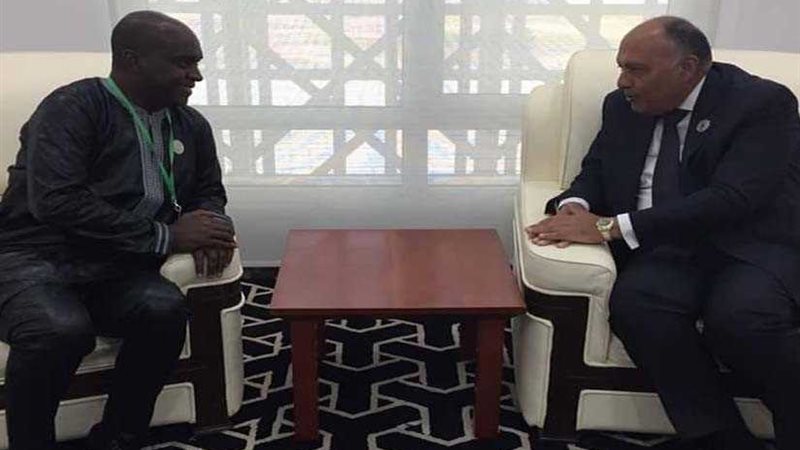 شكري يبحث التعاون