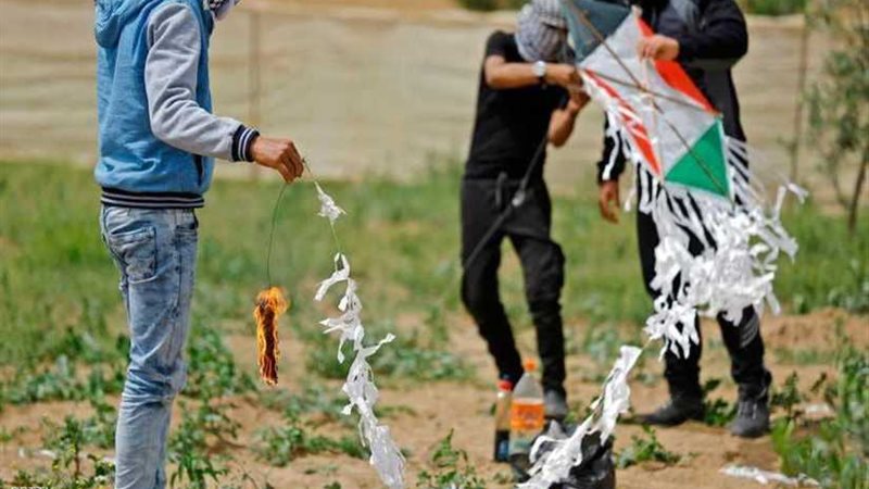 فيديو..إسرائيليون