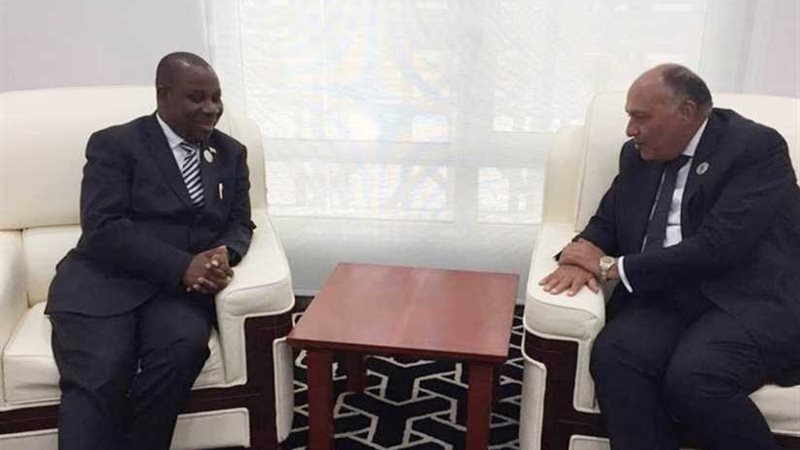 وزير الخارجية يؤكد