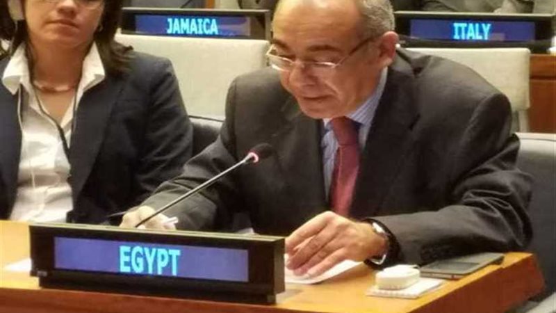 مصر تطالب  الأمم