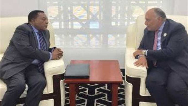 وزير الخارجية يناقش