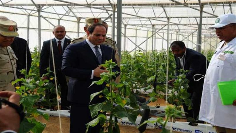 من يملك قوته يملك