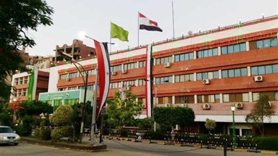 القليوبية تتزين بالأعلام احتفالا بذكرى ثورة 30 يونيو