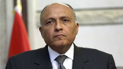 وزير الخارجية يبدأ غدا جولة أوروبية تشمل ألمانيا والنمسا