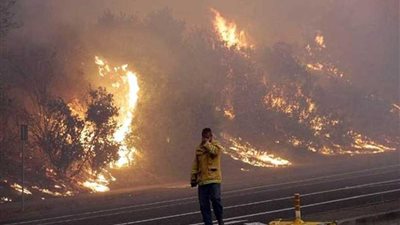 الحرائق تلتهم غابات كاليفورنيا