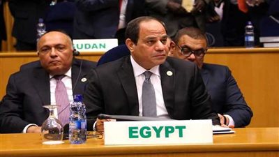 مصر 30 يونيو.. من التجميد والمقاطعة إلى رئاسة الاتحاد الإفريقي
