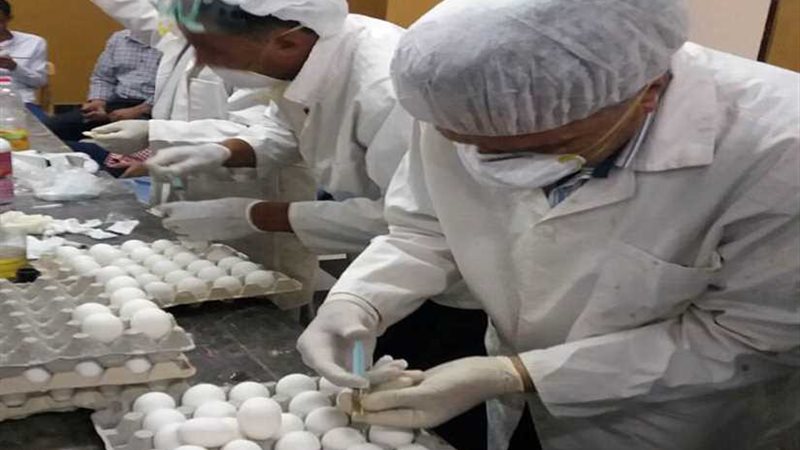 البحيرة تواجه الأفاعي