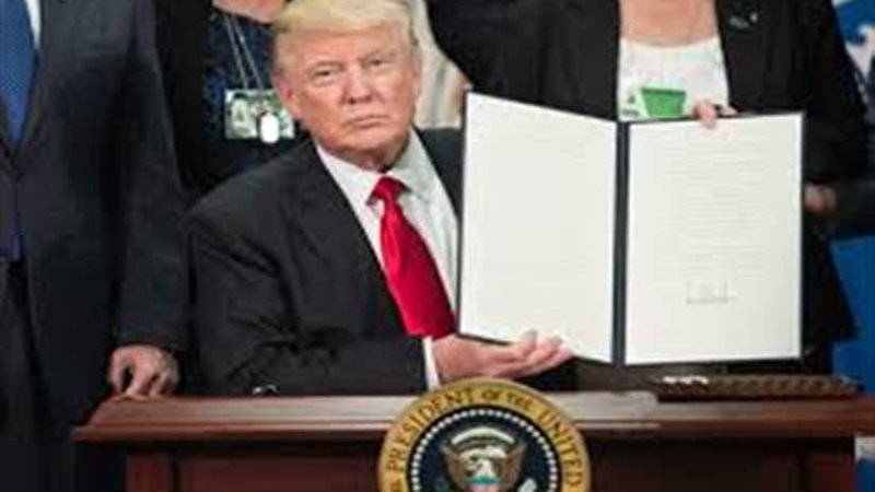 الديلي ميل : 2500