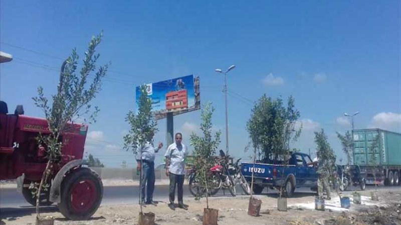 تجميل الطريق الزراعى