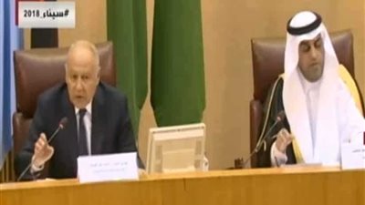 أبو الغيط: الفلسطينيون عصيون على الانحناء ولا سلام دون دولة فلسطينية (فيديو)